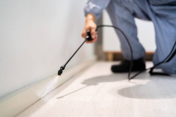 Rodent Entry Point Assessment in Central City